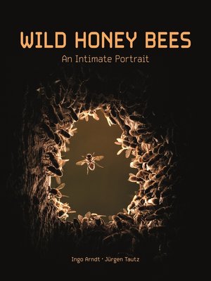 cover image of Wild Honey Bees